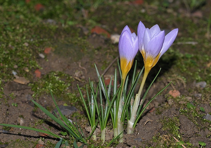 Aria di primavera...